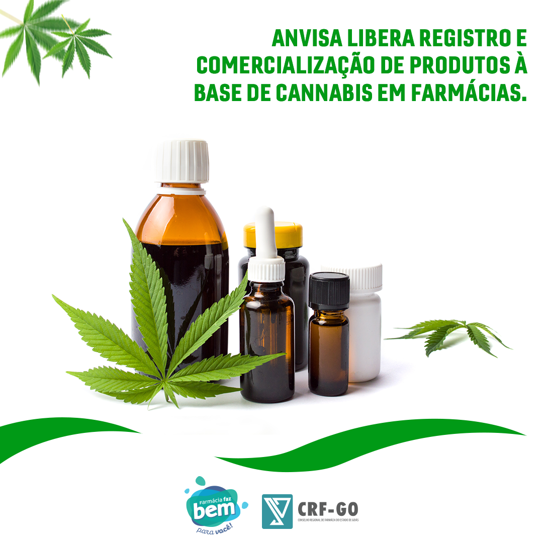 CRF-GO | Produtos à base de cannabis serão vendidos em farmácias