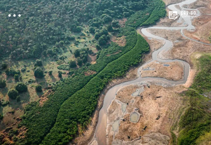 CRF-GO | Amazônia: pesquisa com bactérias no solo de Belém pode desenvolver novos medicamentos