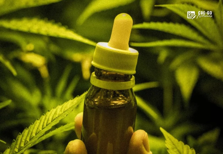 CRF-GO | Anvisa atualiza regras para dispensação de produtos à base de Cannabis em farmácias