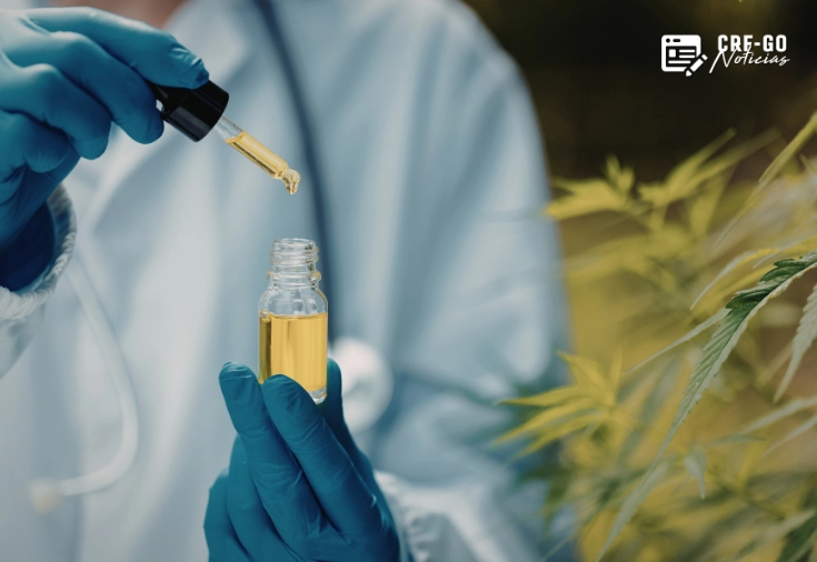 CRF-GO | Cannabis medicinal começa a bater à porta das farmácias de manipulação